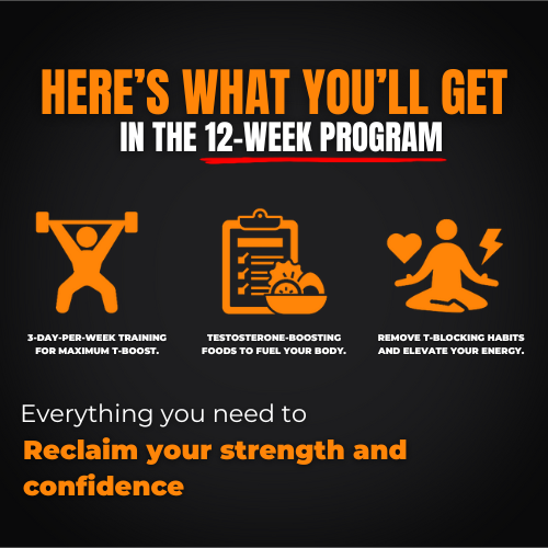 12 Weeks to Warrior T-Levels: The Untold Secrets to Peak Male Performance